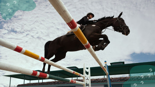 Is Hemp Seed Oil Safe for Competition Horses? A Deep Dive into FEI and EA Compliance on Cannabinoids