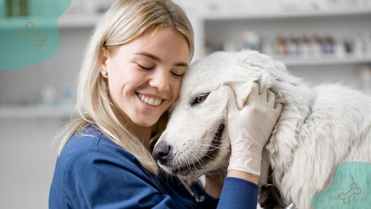 Unlocking the Endocannabinoid System: How Full- Spectrum HEMP DROPS™ Elevate Veterinary Care for Companion Animals