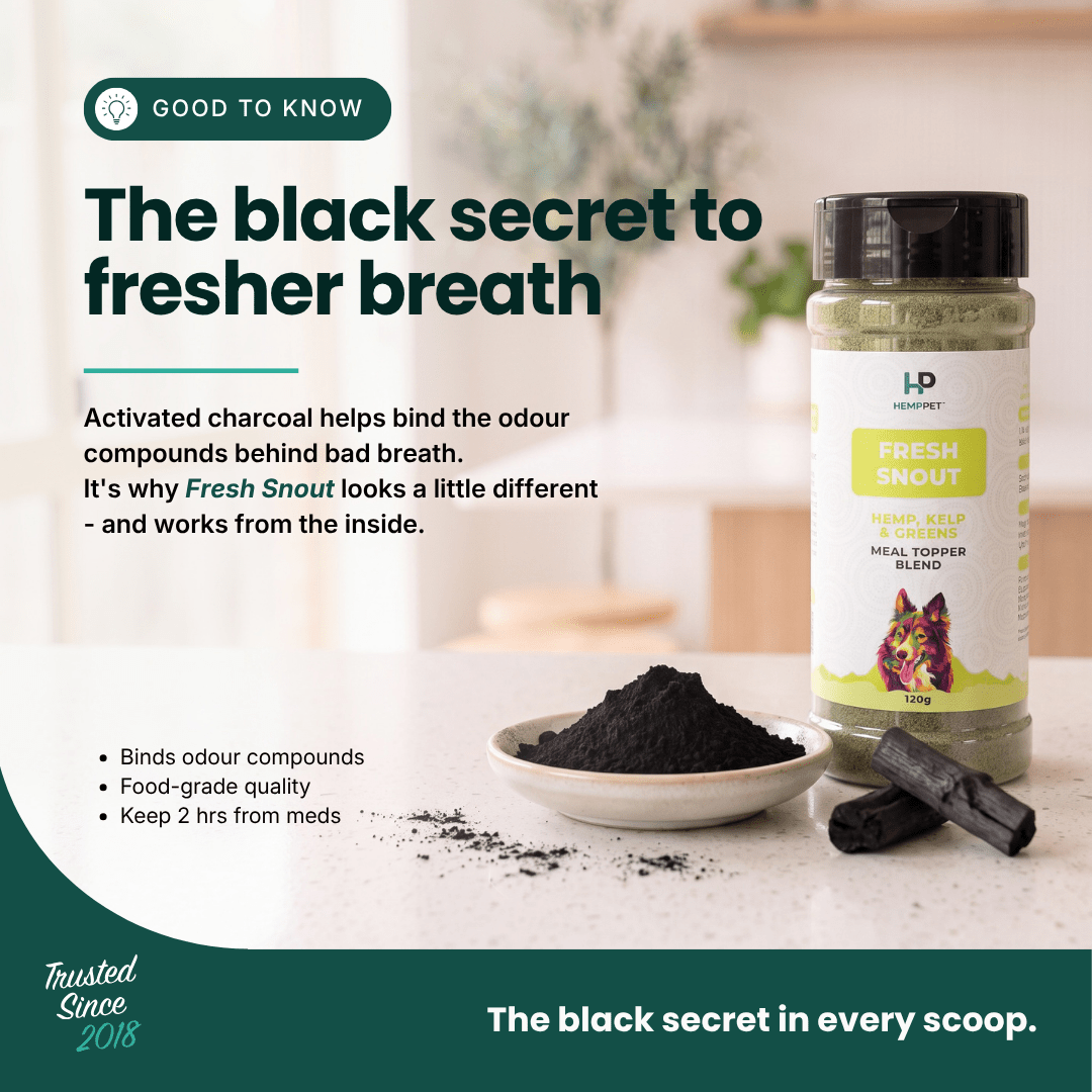 A bottle of HP Veterinary Fresh Snout herbal relief blend for dogs, shown alongside a small bowl of black powder and a cinnamon stick on a light countertop. The image includes marketing text about fresh breath and activated charcoal.