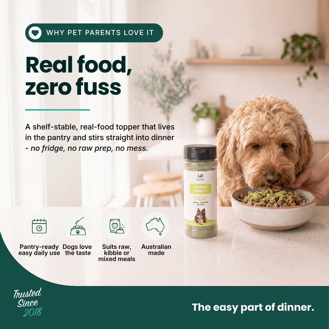 A small jar of pet seasoning or supplement stands on a kitchen counter beside a bowl of wet dog food, with a fluffy light brown dog eating from the bowl. The scene is a real kitchen environment, so this is Lifestyle rather than Product/Packaging.