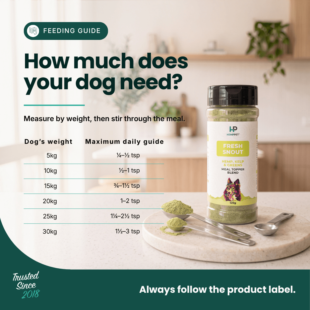A feeding guide infographic for a dog supplement, featuring a bottle of Fresh Snout herbal dog supplement on a marble tray with a spoon and scoop of green powder. The left side contains text explaining how much a dog needs based on weight, and the background shows a softly blurred kitchen setting.