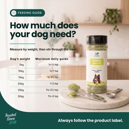 A feeding guide infographic for a dog supplement, featuring a bottle of Fresh Snout herbal dog supplement on a marble tray with a spoon and scoop of green powder. The left side contains text explaining how much a dog needs based on weight, and the background shows a softly blurred kitchen setting.