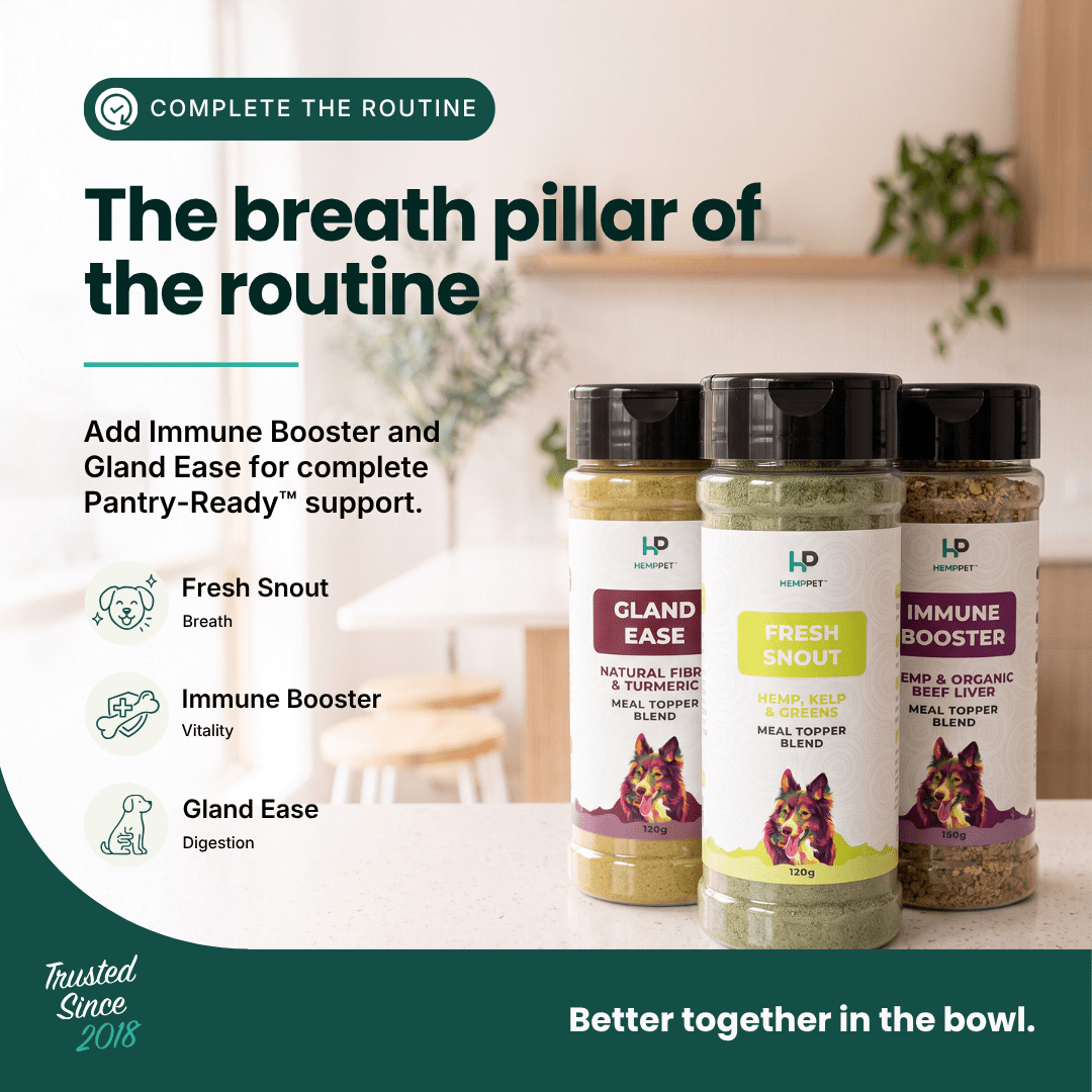 Three HP Pet Care supplement bottles for dogs arranged on a countertop in a kitchen setting, with marketing text on the left about complete the routine and immune support ingredients.