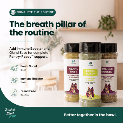 Three HP Pet Care supplement bottles for dogs arranged on a countertop in a kitchen setting, with marketing text on the left about complete the routine and immune support ingredients.