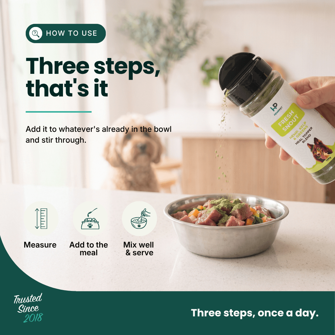 A hand holds a bottle of dog food seasoning over a metal bowl of wet dog food on a kitchen counter, with a dog blurred in the background. The image includes text overlays explaining how to use the seasoning: measure, add to the meal, and mix well & serve.