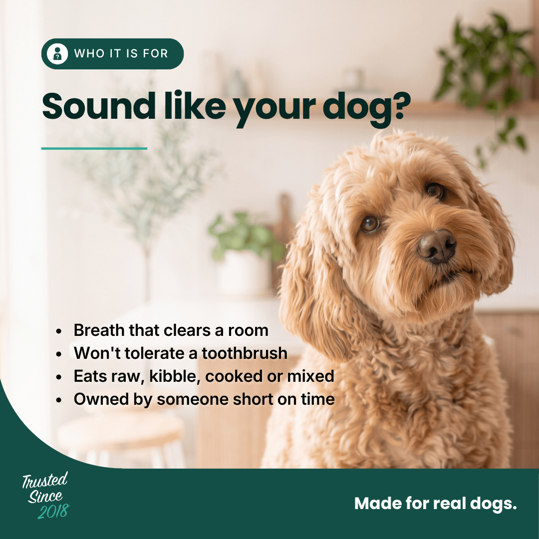 Promotional graphic for a dog training or grooming product, featuring a fluffy golden-brown dog on the right and text on the left that reads 'Sound like your dog?' and lists traits like breath that clears a room and won't tolerate a toothbrush. The design uses dark teal and white with a blurred indoor home background.