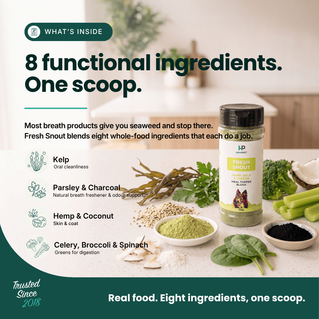 A pet supplement jar labeled '1P Pet Fresh Snout' displayed on a kitchen counter with various natural ingredients like parsley, celery, broccoli, kelp, and hemp. The image includes marketing text overlays explaining the product's functional ingredients.