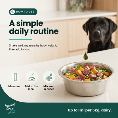 Immune Support - Hemp Oil for Dogs 100ml