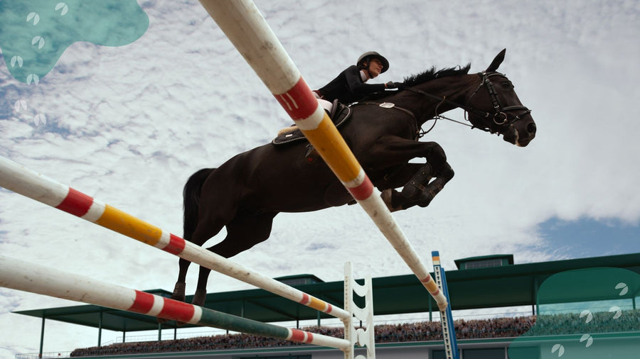 Is Hemp Seed Oil Safe for Competition Horses?
