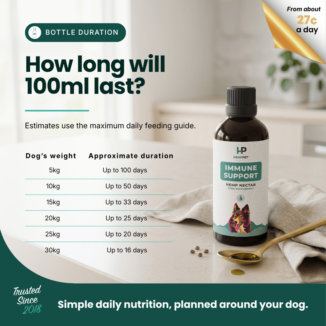 Immune Support - Hemp Oil for Dogs 100ml