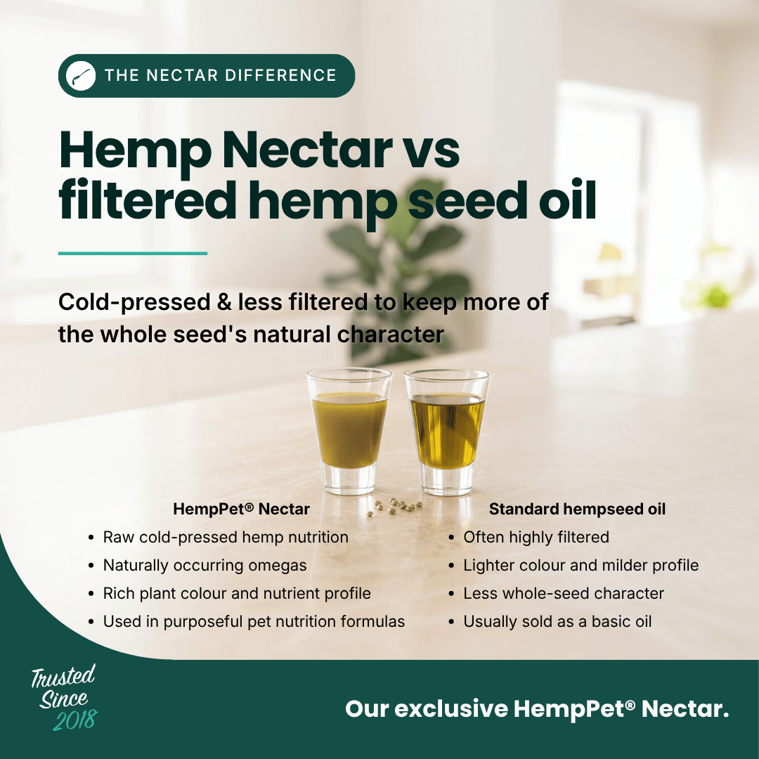 Immune Support - Hemp Oil for Dogs 100ml