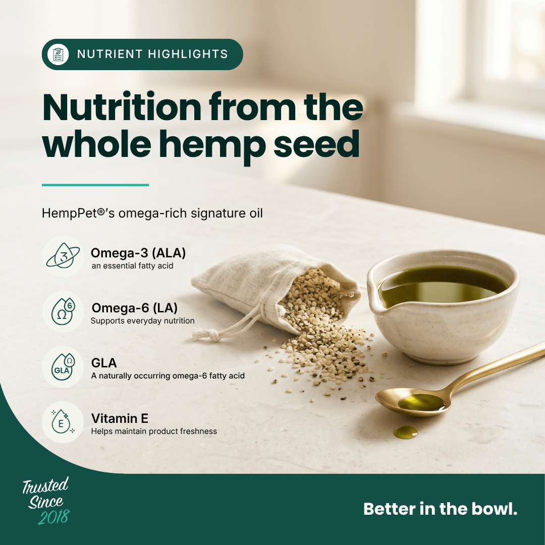 Promotional graphic for HempPet omega-rich signature oil, showing a small white bowl of green oil, a spoon with oil, and a sack of hemp seeds spilling onto a light surface. Text highlights key nutrients: Omega-3 (ALA), Omega-6 (LA), GLA, and Vitamin E.