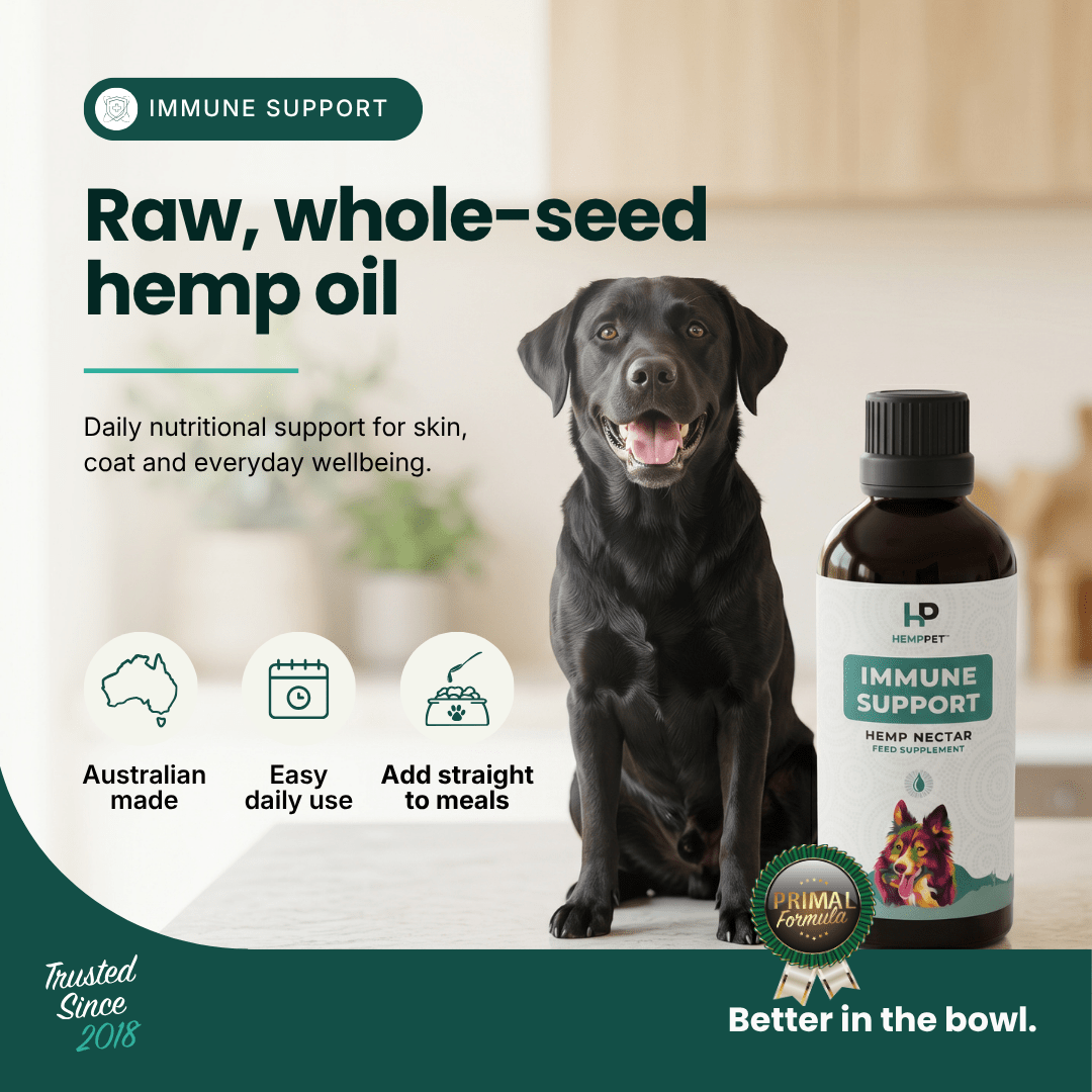 A bottle of HD Pet Immune Support hemp oil shown next to a black dog in a home setting, with marketing text highlighting 'Raw, whole-seed hemp oil' and product benefits.