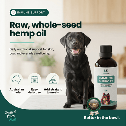 A bottle of HD Pet Immune Support hemp oil shown next to a black dog in a home setting, with marketing text highlighting 'Raw, whole-seed hemp oil' and product benefits.