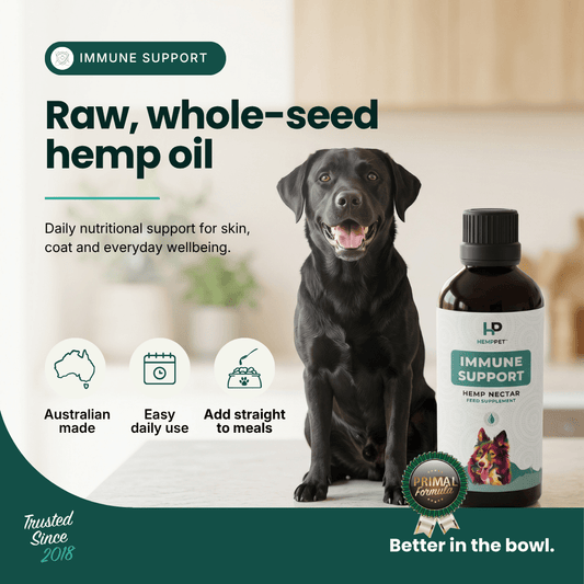 A bottle of HD Pet Immune Support hemp oil shown next to a black dog in a home setting, with marketing text highlighting 'Raw, whole-seed hemp oil' and product benefits.