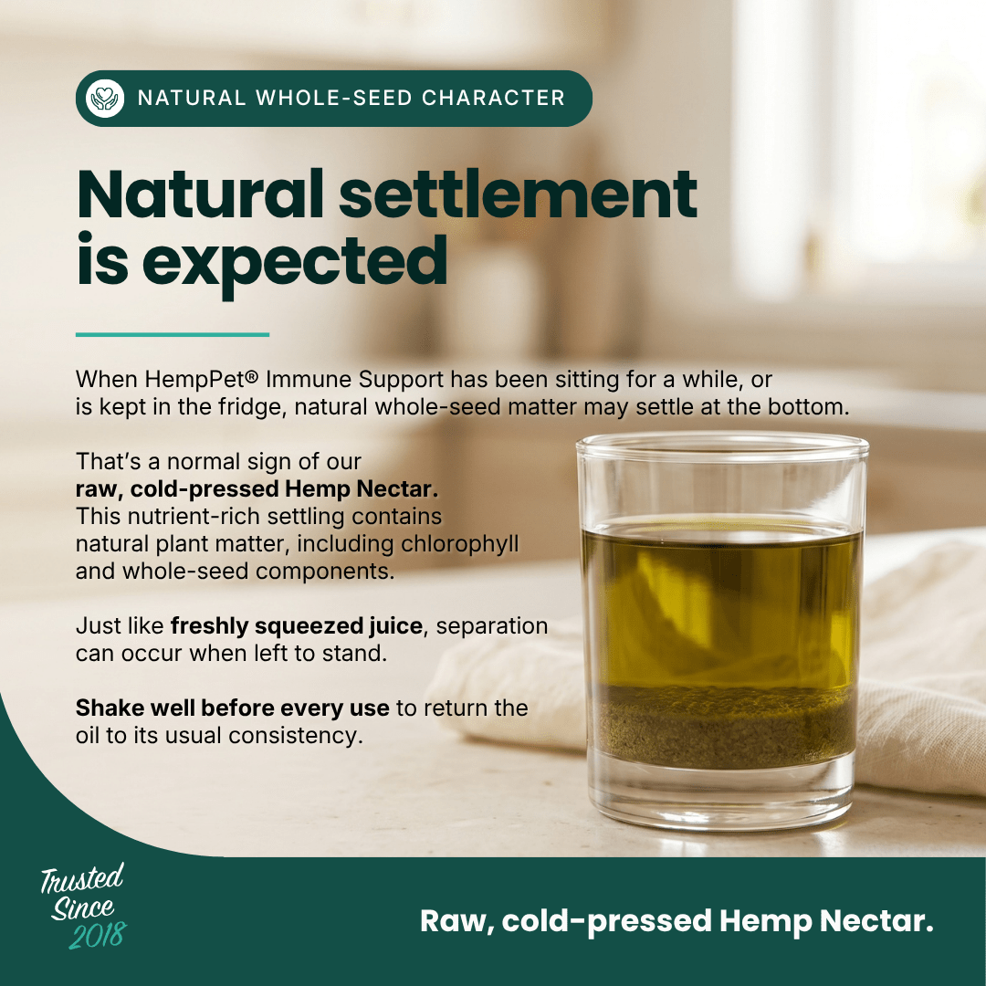 Immune Support - Hemp Oil for Dogs 100ml