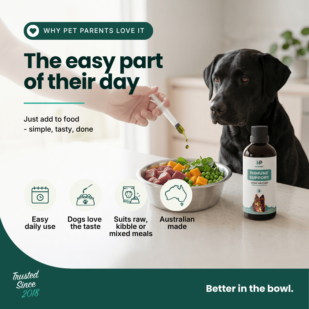 Immune Support - Hemp Oil for Dogs 100ml