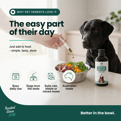 Immune Support - Hemp Oil for Dogs 100ml