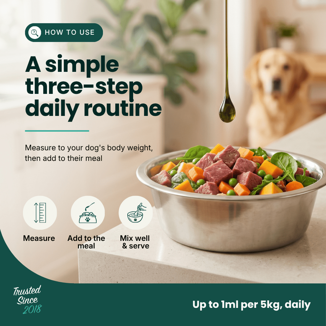 Mobility Supplement - Hemp Oil for Dogs 100ml