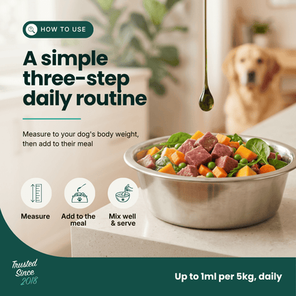 Mobility Supplement - Hemp Oil for Dogs 100ml