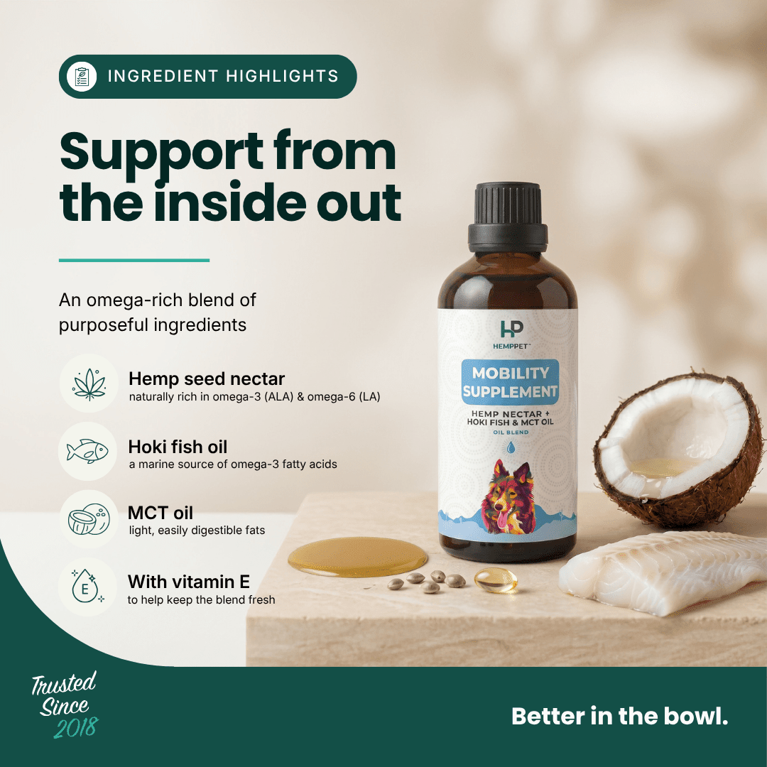 Mobility Supplement - Hemp Oil for Dogs 100ml