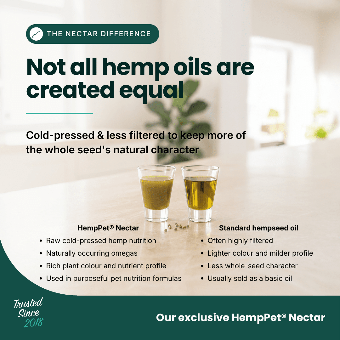 Mobility Supplement - Hemp Oil for Dogs 100ml