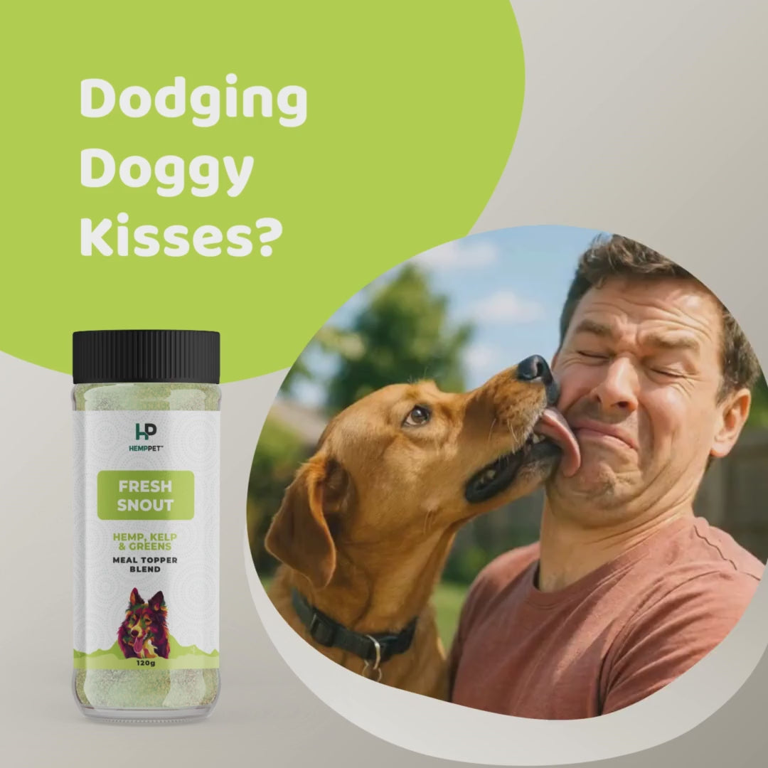Dogging doggy kisses video