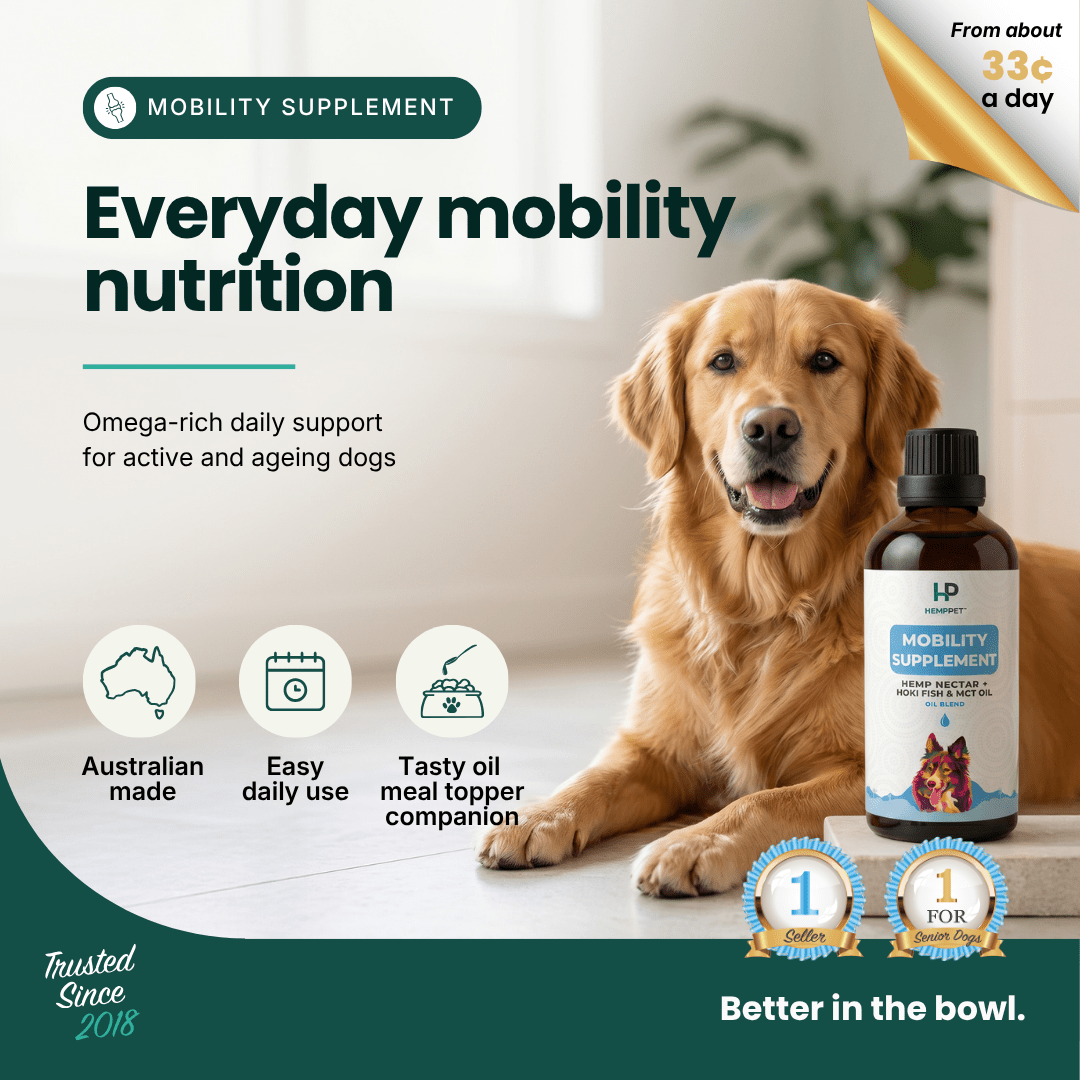 Mobility Supplement - Hemp Oil for Dogs 100ml