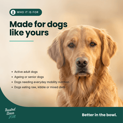 Mobility Supplement - Hemp Oil for Dogs 100ml