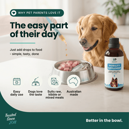 Mobility Supplement - Hemp Oil for Dogs 100ml